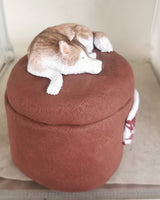 Custom Pet Urn