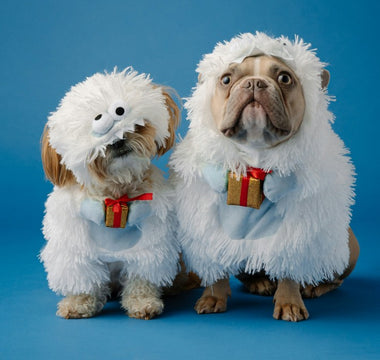 Top 10 Christmas Pet Films to Watch This Holiday Season