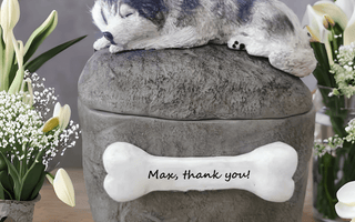 Pet Urn Vase vs. Sculpture Urn: Which Memorial Truly Honors Your Beloved Pet?
