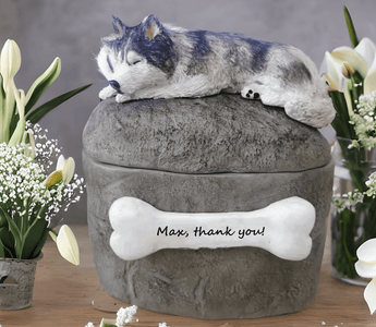 Pet Urn Vase vs. Sculpture Urn: Which Memorial Truly Honors Your Beloved Pet?