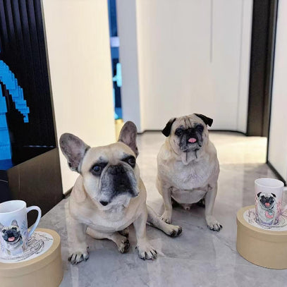 custom_handpainted_pet_mug