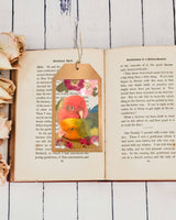 custom_pet_bookmark_2