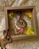 hand-painted pet portrait