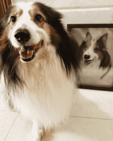 hand-painted pet portrait