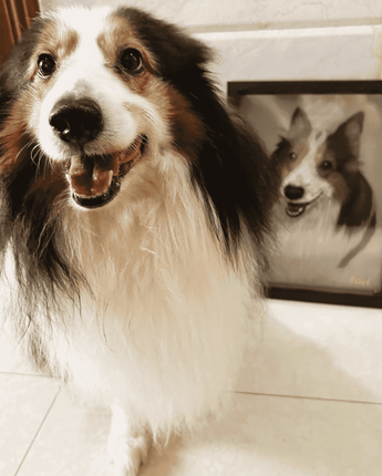 hand-painted pet portrait