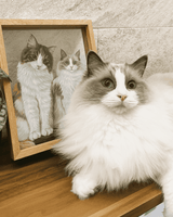 hand-painted pet portrait