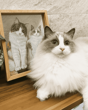 hand-painted pet portrait