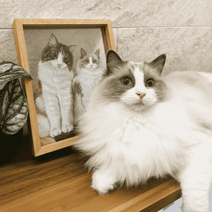 hand-painted pet portrait