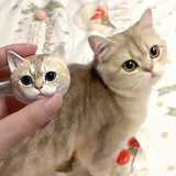 custom cat magnets