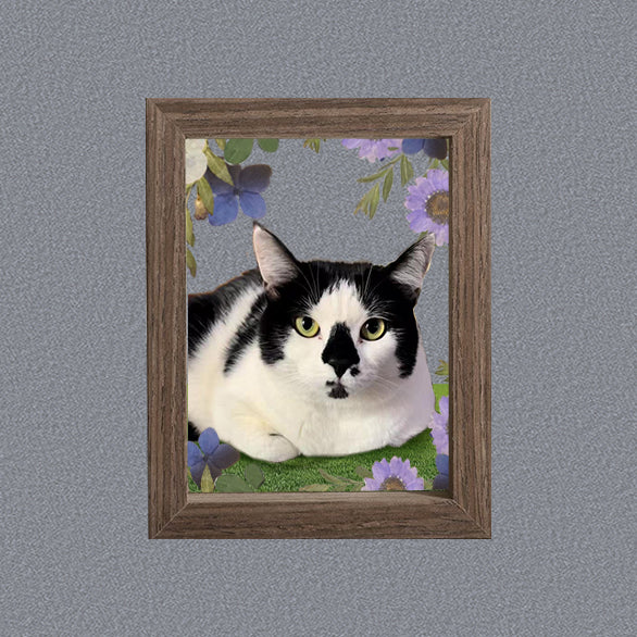 Pet Portrait Digital Preview